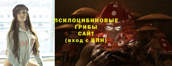 mdpv Краснослободск