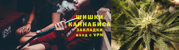 mdpv Краснослободск