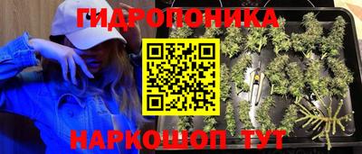 прущие грибы Апрелевка