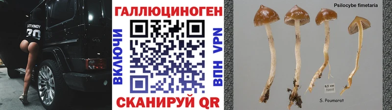 Псилоцибиновые грибы мицелий наркота Малгобек