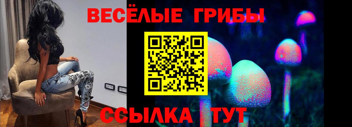 Малгобек  магазин    Вход с VPN  Галлюциногенные грибы прущие грибы  Псилоцибиновые грибы мицелий 